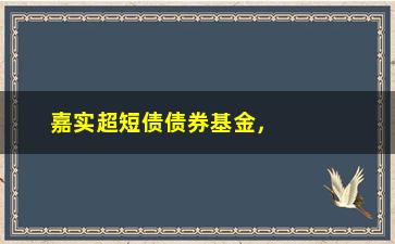 “嘉实超短债债券基金，如何在低风险中获得高收益？”/