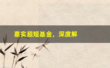 “嘉实超短基金，深度解析嘉实超短债券基金”/