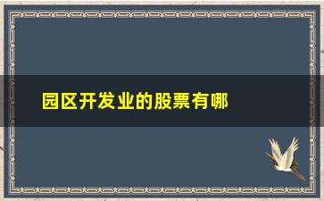 “园区开发业的股票有哪些(上海园区开发股票)”/