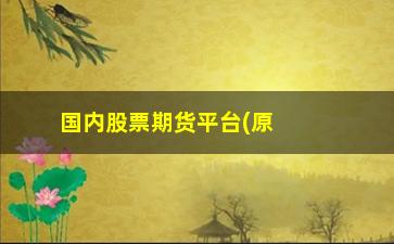 “国内股票期货平台(原油期货平台)”/