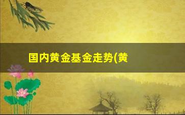 “国内黄金基金走势(黄金基金有哪些)”/