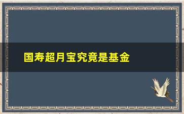 “国寿超月宝究竟是基金还是保险？（详细介绍其产品特点和风险控制）”/