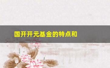 “国开开元基金的特点和投资方式是什么？”/