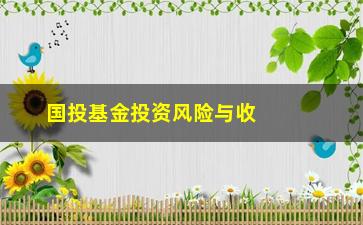 “国投基金投资风险与收益如何？”/