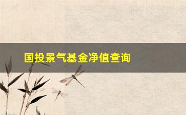 “国投景气基金净值查询（了解国投景气基金最新净值情况）”/