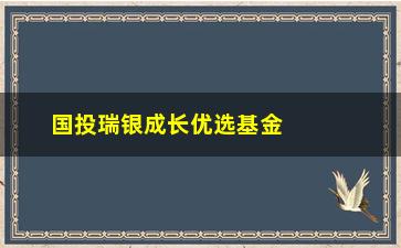 “国投瑞银成长优选基金净值分析（了解基金净值变化及投资建议）”/