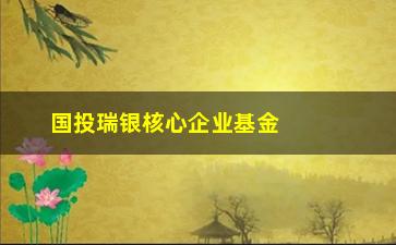 “国投瑞银核心企业基金净值分析（历史表现和未来走势预测）”/