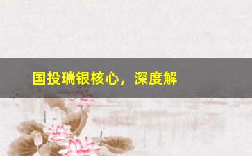 “国投瑞银核心，深度解析国投瑞银核心基金投资策略”/