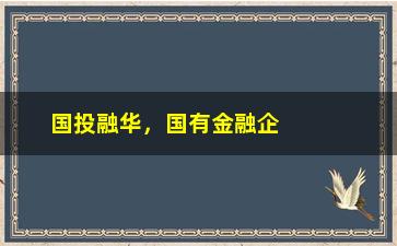 “国投融华，国有金融企业的发展现状与前景”/