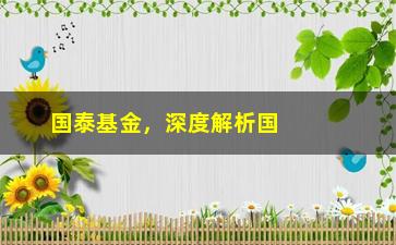 “国泰基金，深度解析国泰基金的投资策略和业绩表现”/