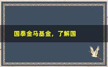 “国泰金马基金，了解国泰金马基金的投资策略和业绩表现”/