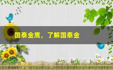 “国泰金鹰，了解国泰金鹰，开启投资新时代”/