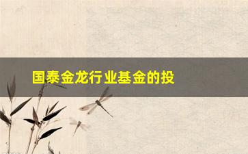 “国泰金龙行业基金的投资步骤及收益分析”/