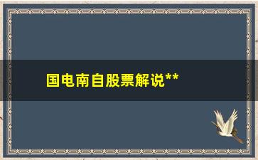 “国电南自股票解说**语言实际操作举例说明”/