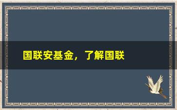 “国联安基金，了解国联安基金的投资理念和表现”/