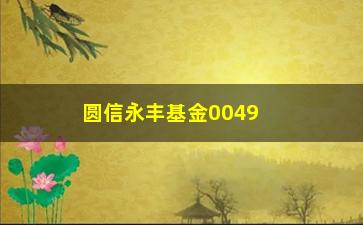 “圆信永丰基金004934（基金详解与投资建议）”/