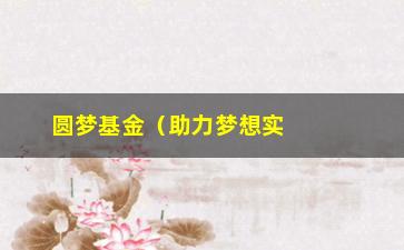 “圆梦基金（助力梦想实现的金融工具）”/