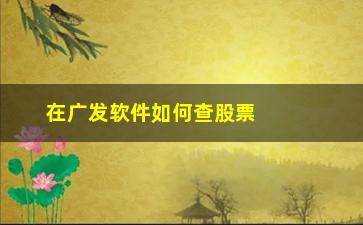 “在广发软件如何查股票的市净率”/