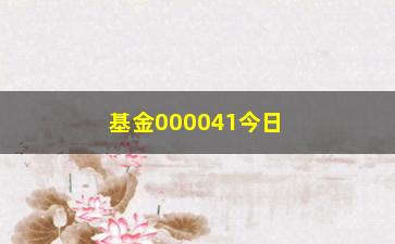 “基金000041今日净值及近期表现分析”/