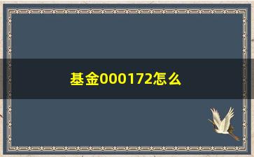 “基金000172怎么样？介绍和收益如何？”/