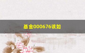 “基金000676该如何投资及风险介绍？”/