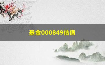 “基金000849估值分析（未来收益前景及风险预警）”/