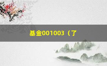 “基金001003（了解基金001003的投资风险和收益预期）”/