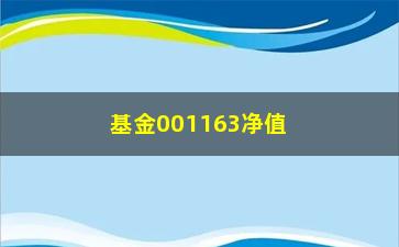 “基金001163净值（最新净值及走势分析）”/