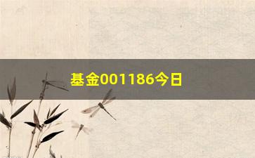 “基金001186今日净值实时更新（投资者必备）”/