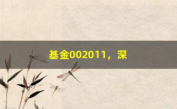 “基金002011，深圳市***旗下基金详解”/