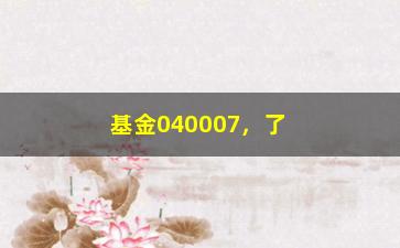 “基金040007，了解该基金的投资策略和业绩表现”/