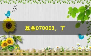 “基金070003，了解基金070003的投资收益和风险评估”/