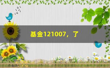 “基金121007，了解基金121007的投资收益和风险”/