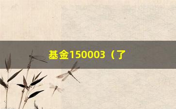 “基金150003（了解基金150003的投资收益和风险评估）”/