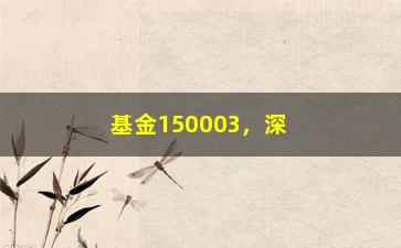 “基金150003，深度解析基金150003的投资价值”/