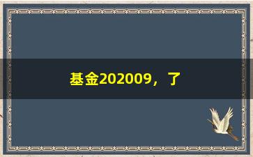 “基金202009，了解2020年9月基金市场走势”/