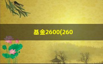 “基金2600(2600基金分红)”/