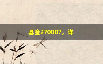 “基金270007，详解该基金的投资策略和表现”/