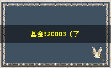 “基金320003（了解基金320003的投资收益和风险分析）”/