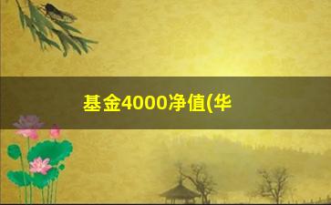 “基金4000净值(华富竞争力4000净值)”/