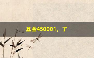 “基金450001，了解基金450001的投资收益和风险评估”/