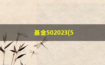 “基金502023(502023净值)”/