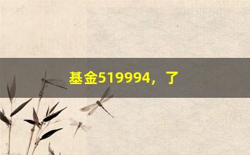 “基金519994，了解基金519994的投资风险和收益”/