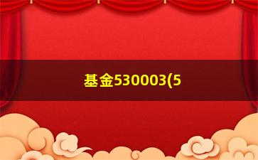 “基金530003(530003基金净值查询)”/