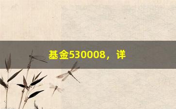 “基金530008，详解该基金的投资策略和收益表现”/