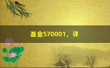 “基金570001，详细介绍基金570001的投资收益和风险评估”/