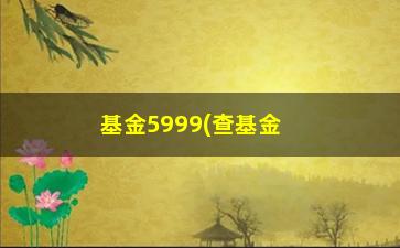 “基金5999(查基金净值599)”/