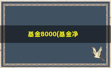 “基金8000(基金净值8000)”/