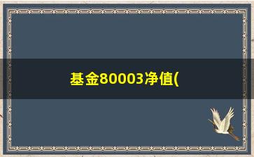 “基金80003净值(道琼斯的基金有哪些)”/