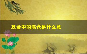 “基金中的满仓是什么意思(基金加仓是什么意思)”/